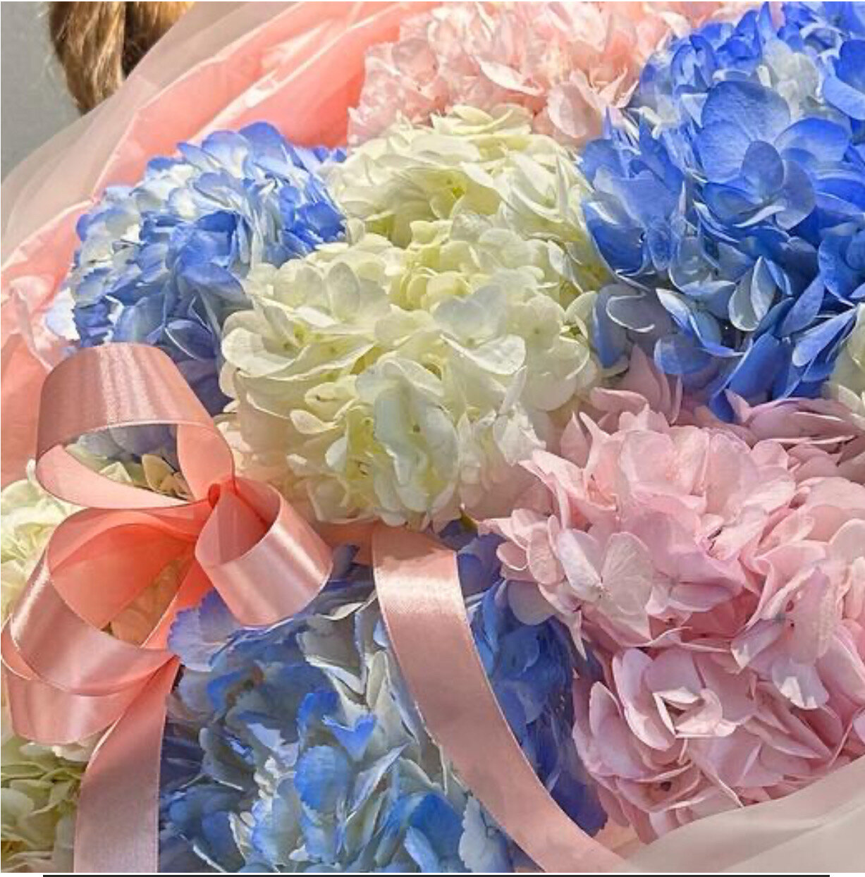 Букет Ruby, гортензии, 9 шт, размер М, высота 60см, в аквабоксе, с открыткой и смесью для цветов — фото 1