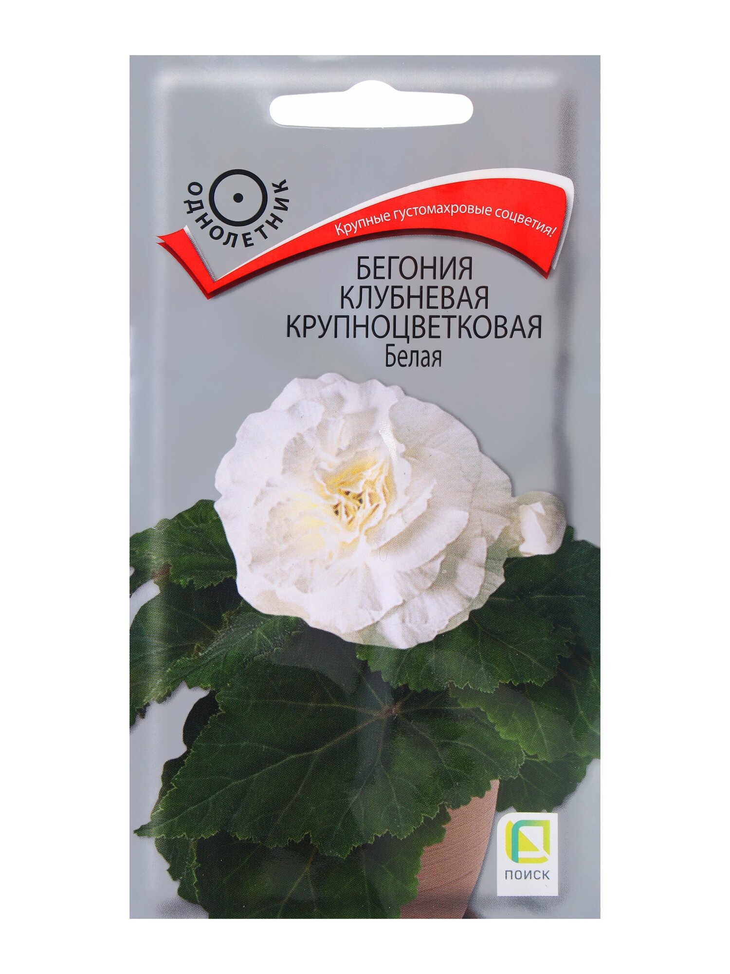 Семена цветов Бегония клубневая крупноцветковая Белая 5шт