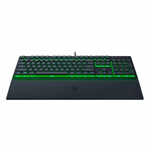 Ornata V3 X