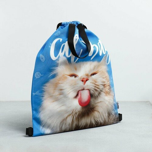 Мешок для обуви Cat Bag, два вида ручек, 41х31 см agya cat and dog carrier bag double shoulder bag cat space capsule backpack small pet bag cat carry travel bag space capsule