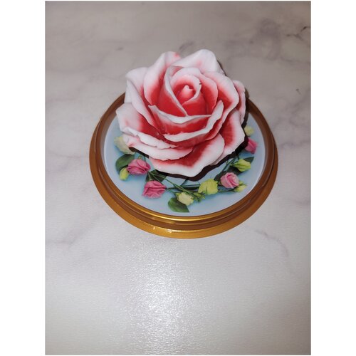 Роза в куполе и сумочке