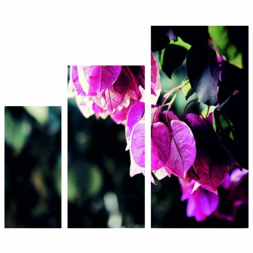 Модульная картина Розовые листья Размер120х100см28Х6038Х8048Х100 3626₽