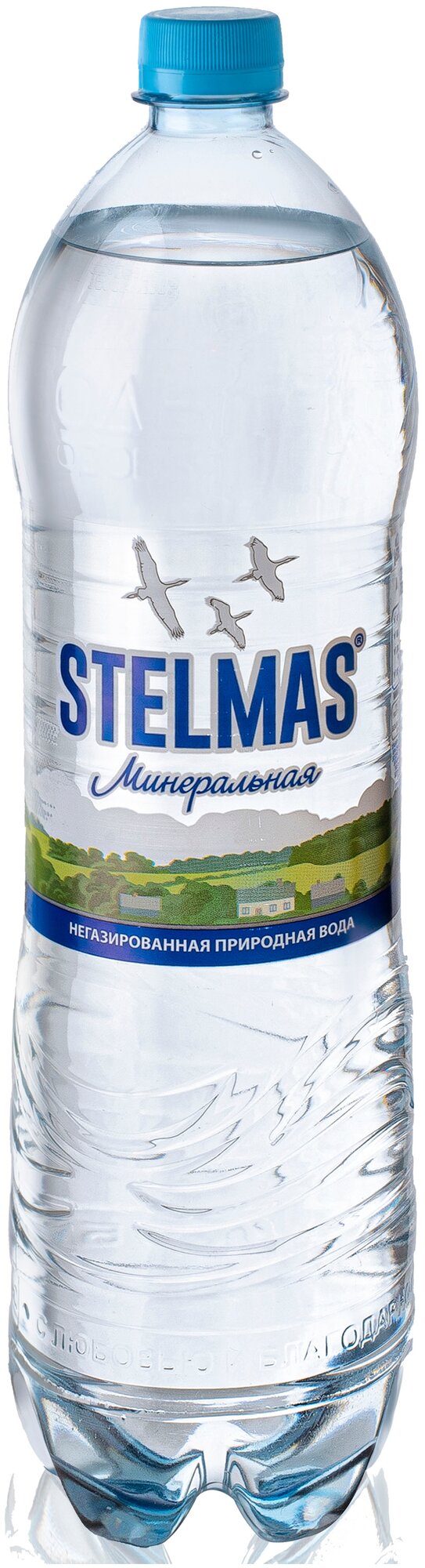 Вода минеральная Stelmas негазированная, ПЭТ, 0.6 л*12 шт в уп - фотография № 2