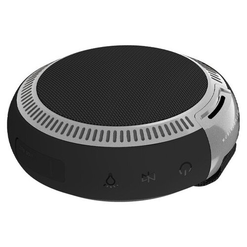 Портативная акустика Z Musicdealer Rare 5 Вт черный 275900₽