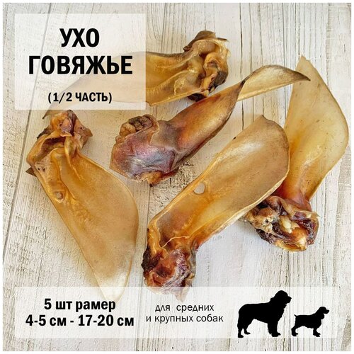 Ухо 1/2 говядина 5 шт Dogs Appetite / лакомство для собак / лакомства для чистки зубов / лакомства для здоровья / Ухо говяжье для собак ухо 1 4 говядина 12 шт dogs appetite лакомство для собак лакомства для чистки зубов лакомства для здоровья ухо говяжье для собак