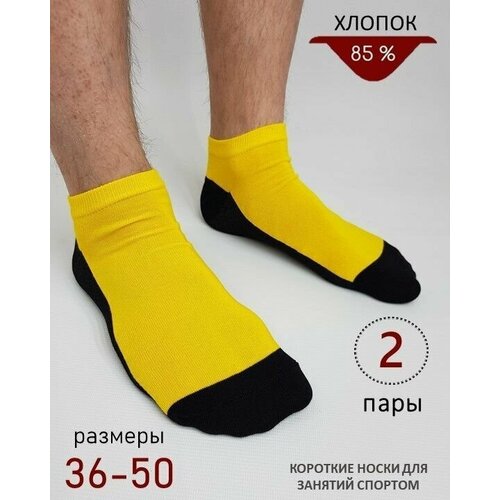 Носки BIZ-ONE, 2 пары, размер 39-41, желтый, черный