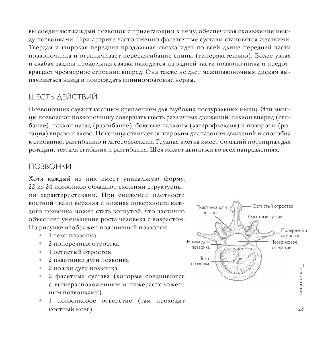 Йога-терапия. Руководство по укреплению мышц, борьбе с болью и последствиями травм - фото №17