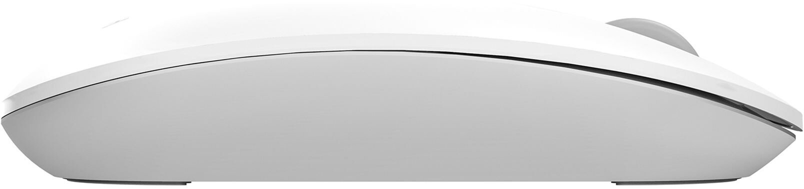 Мышь A4Tech Fstyler FG20S, белый/серый (fg20s usb white) - фото №2