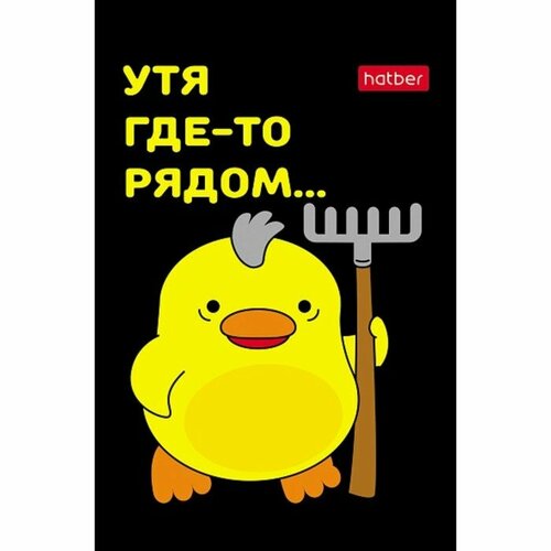 Блокнот А7, 48 листов, в клетку, на склейке, УтяКря, обложка мелованная бумага, ламинация, трёхцветный блок, блок 60 г/м2, 5В микс блокнот а7 48 листов в клетку на склейке экстремальный апельсинчик обложка мелованная бумага ламинация трёхцветный блок блок 60 г м2 5в микс