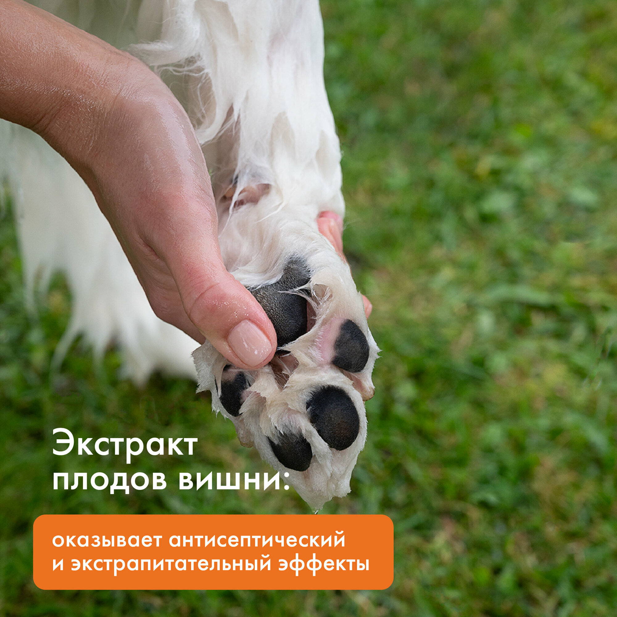 Шампунь - мыло для лап собак PET FLAT - фотография № 4