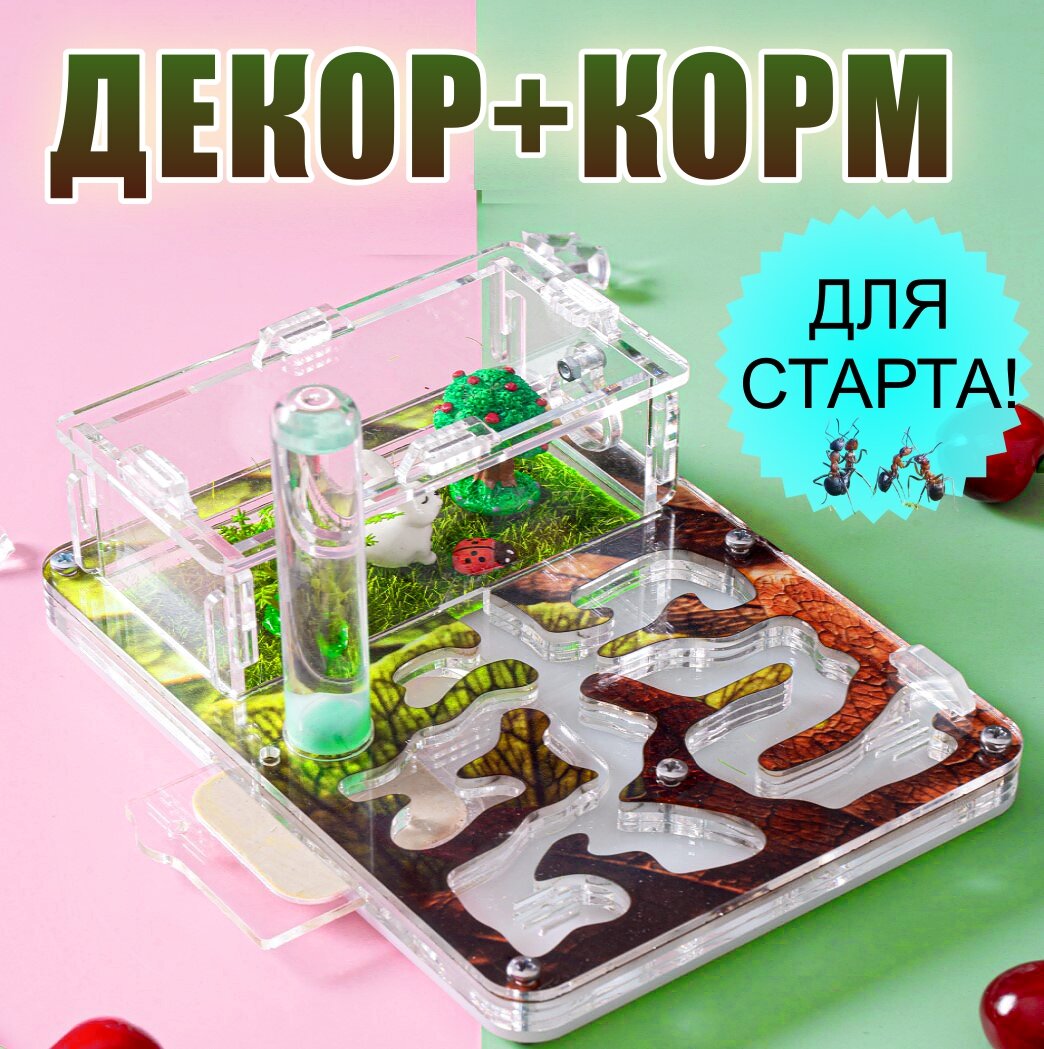Муравьиная ферма с муравьями