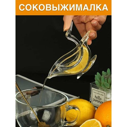 Соковыжималка для цитрусовых - ручная соковыжималка 30000₽