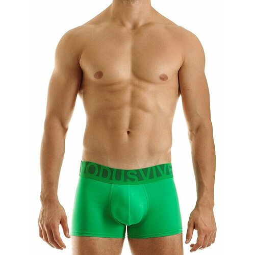 Трусы MODUS VIVENDI Eternal Boxer, размер M, зеленый