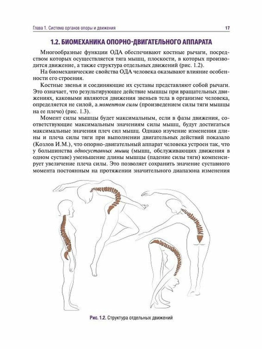 Головные и лицевые боли. Миофасциальный релиз - фото №7