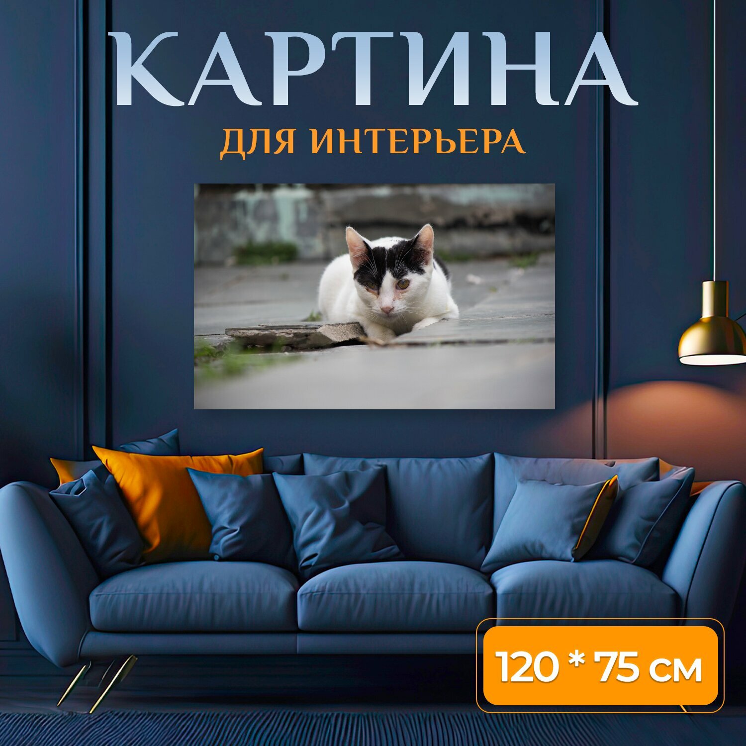 Картина на холсте "Кошка кошачий одомашненный" на подрамнике 120х75 см. для интерьера