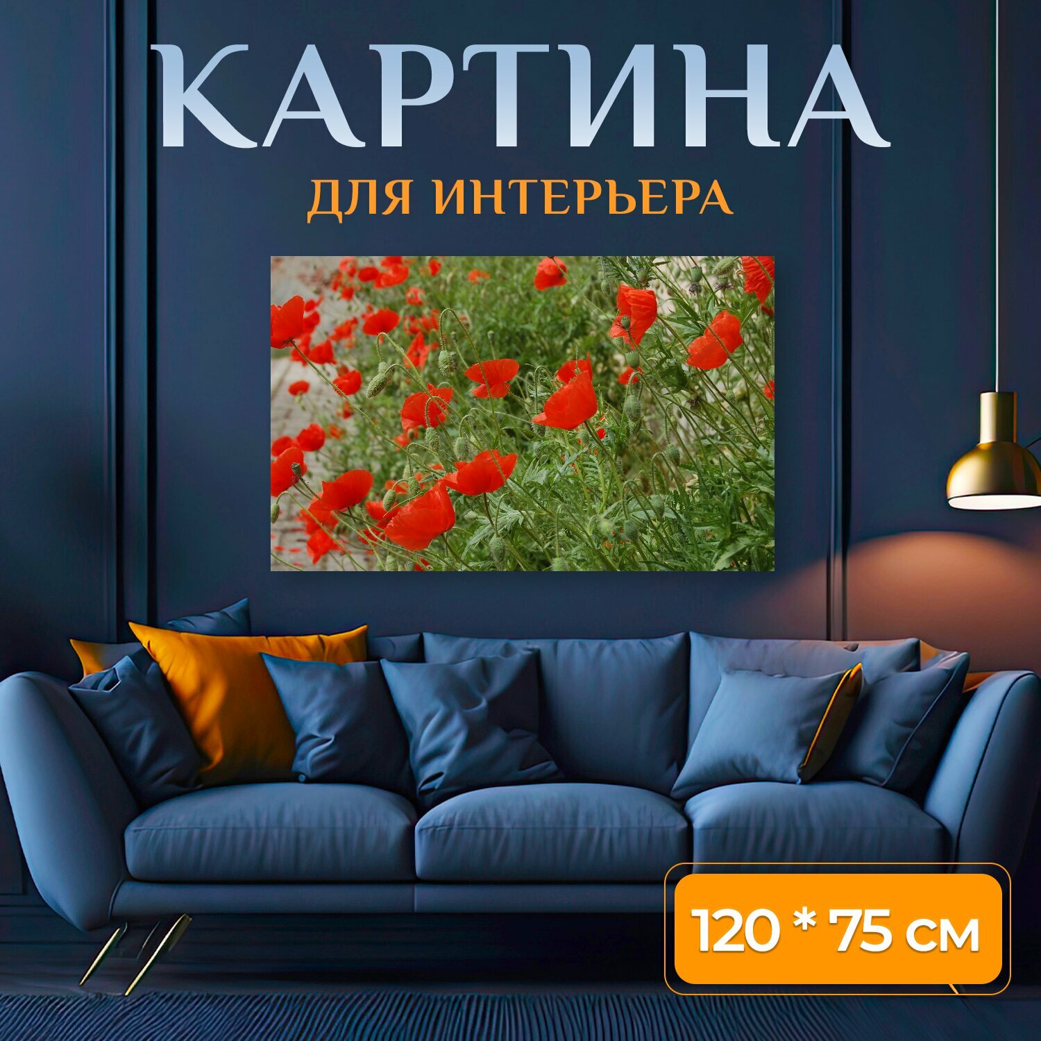 Картина на холсте "Маки, цветы самопроизвольно, цветение" на подрамнике 120х75 см. для интерьера