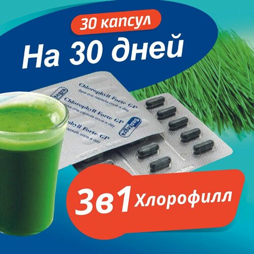 Chlorophyll Forte Santegra(Сантегра), Хлорофилл Форте, природный антисептик, улучшает пищеварение, укрепит иммунитет, жидкий хлорофилл в капсулах 50 мг, 30 капсул на 30 дней