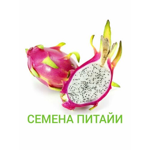 Семена питайи 320₽
