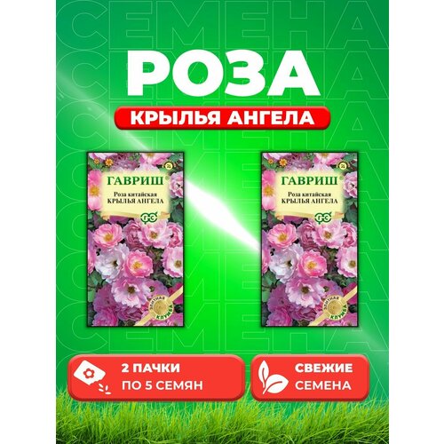 Роза китайская Крылья ангела 5 шт. Элитная клумба (2уп) семена роза китайская крылья ангела