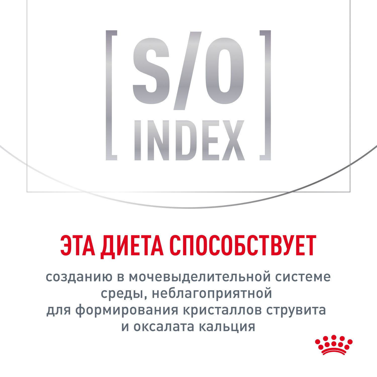 Royal Canin Indoor Sterilised Влажный корм (пауч) для стерилизованных кошек от 1 до 7 лет, в желе, 85 гр. - фото №6