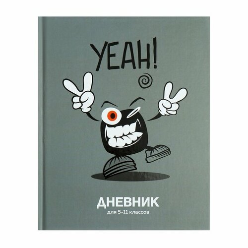 Дневник универсальный 5-11классов, 48 листов 