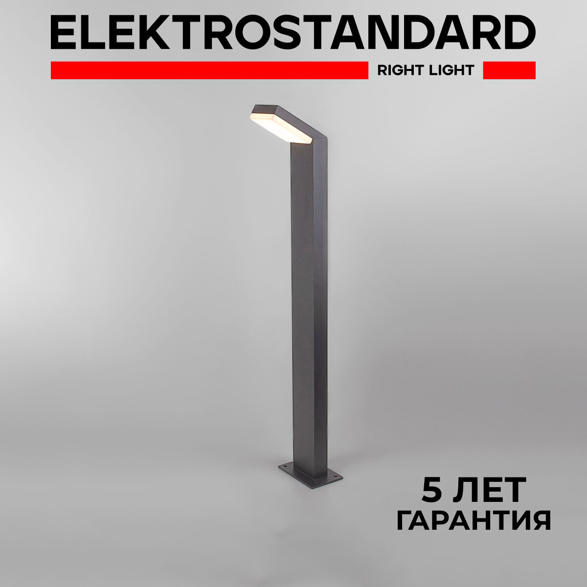 Ландшафтный светодиодный светильник Elektrostandard Sensor 1542 TECHNO LED серый IP54