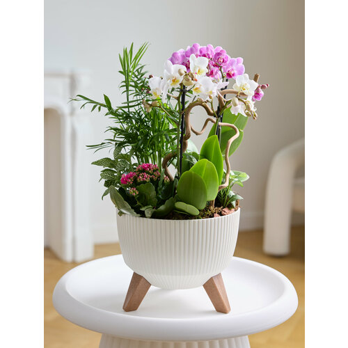 Композиция 