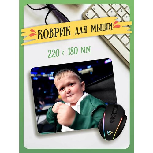 Маленький игровой коврик для мышки Хасбик 530₽