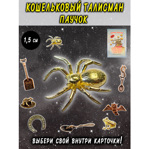 Кошельковый талисман, оберег в кошелек Паук паучок арахна