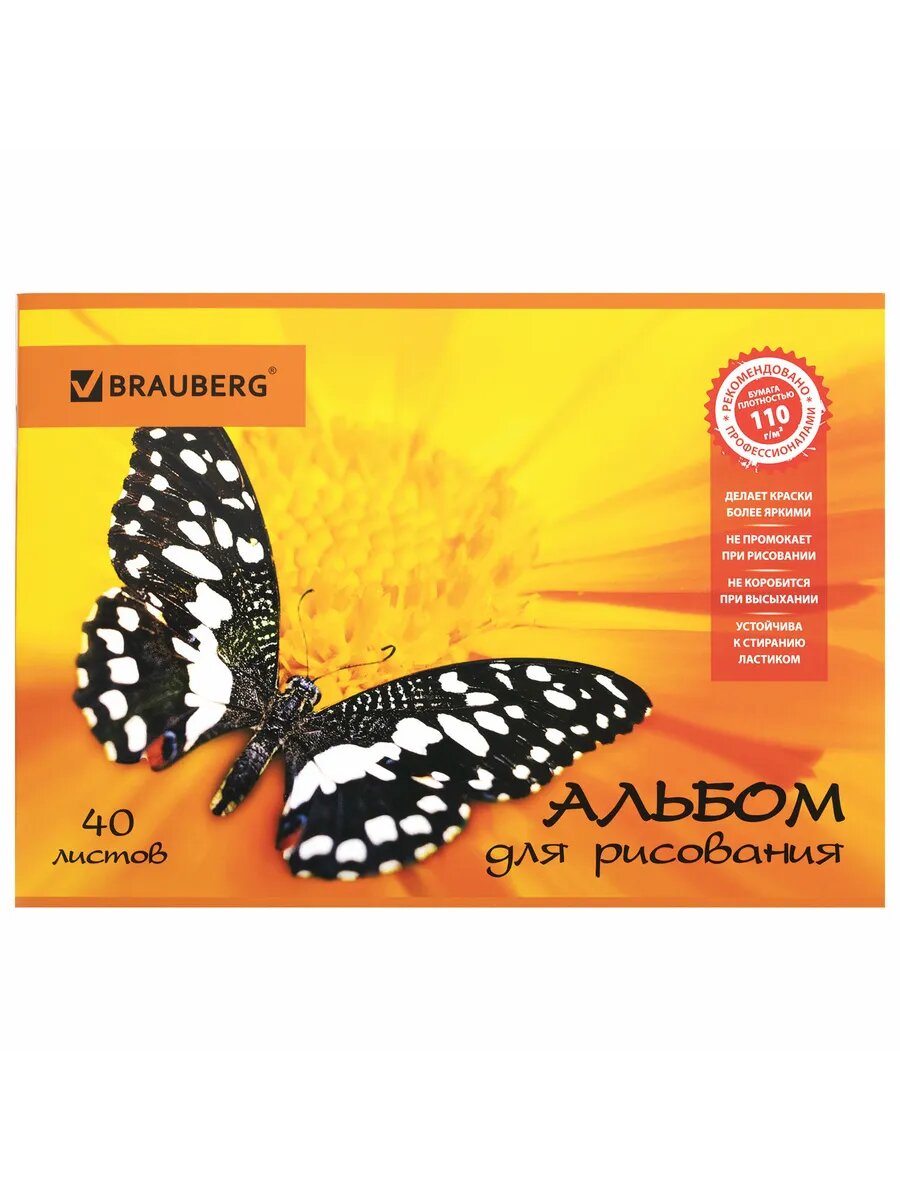 Альбом для рисования 1 шт, А4, 40 листов, 202х285 мм