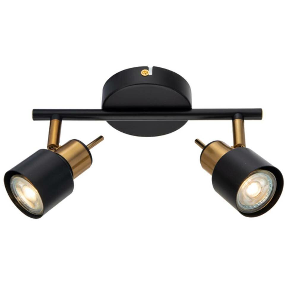 ARTE LAMP A1906PL-2BK светильник потолочный