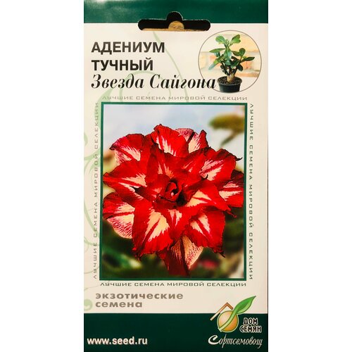 Семена Адениума тучного 