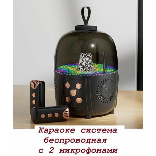 Портативная беспроводная караоке система bluetooth с конденсаторными микрофонами черная 305900₽