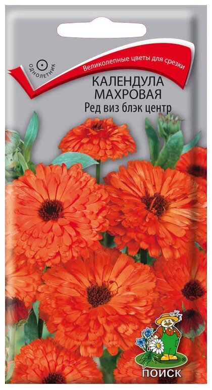 Семена цветов Календула махровая "Ред виз блэк центр", 0,4 г