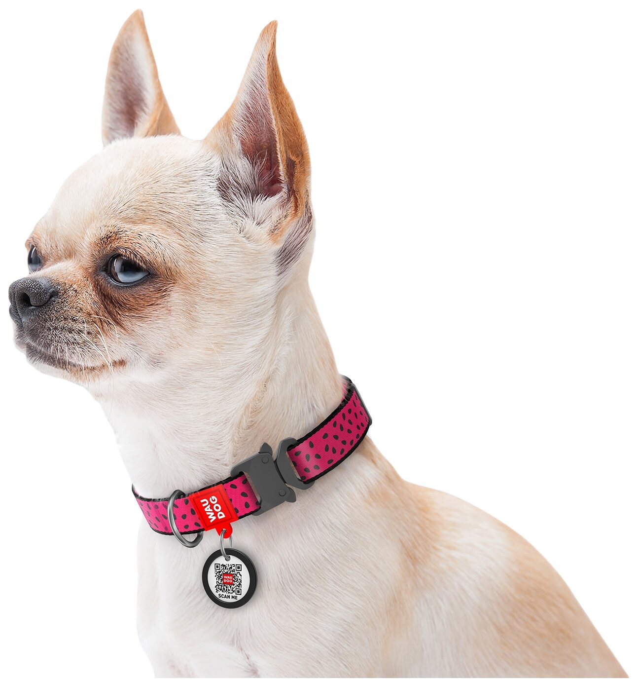 Ошейник WAUDOG Nylon "Арбуз" для собак с QR-паспортом, метал. пряжка, Ш 25мм, Дл 31-49см - фотография № 3