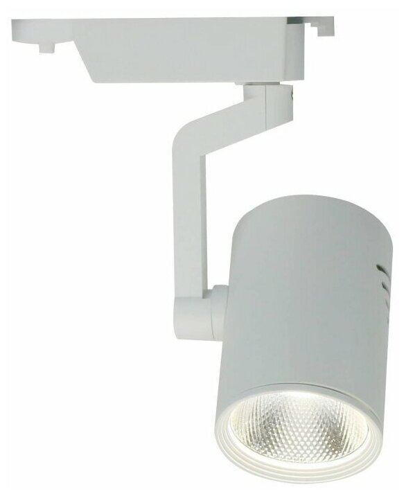 Люстры и потолочные светильники Arte Lamp A2321PL-1WH