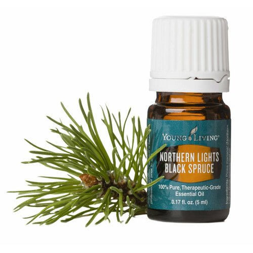 Янг Ливинг Эфирное масло Черная ель/ Young Living Northern lights black spruce, 5 мл