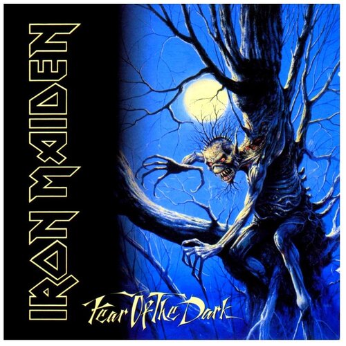 Виниловая пластинка Warner Music Iron Maiden - Fear Of The Dark (2 LP) виниловая пластинка warner music iron maiden fear of the dark 2 lp