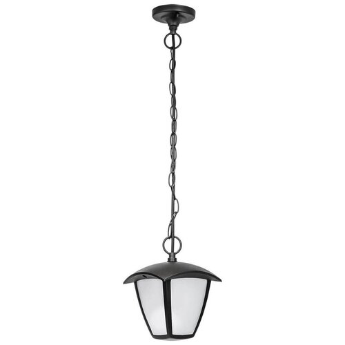 Lightstar Уличный подвесной светильник Lampione 375070 светодиодный, 8 Вт, цвет арматуры: черный, цвет плафона черный