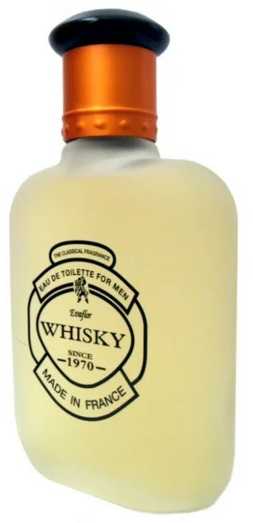 Туалетная вода Evaflor Whisky Homme, 100