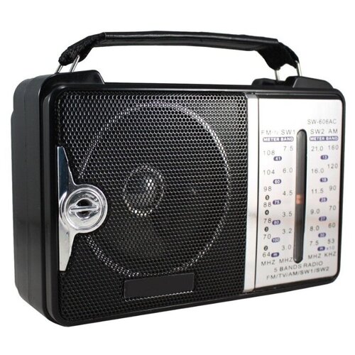 Радиоприемник Bahm SW-606AC 79000₽