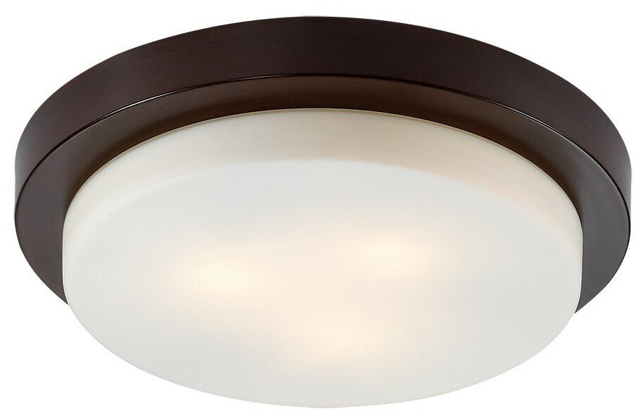 Накладной светильник Odeon Light Holger 2744/3C