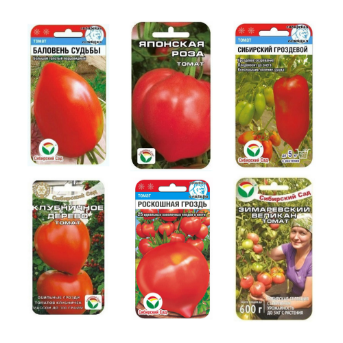 фото Семена сибирский сад "томаты гроздевые", набор из 6 пакетов