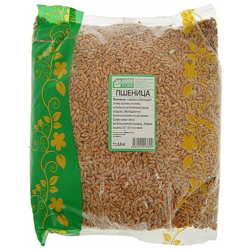 Семена Зелёный Уголок Пшеница, 0.8 кг, 0.8 кг семена зелёный уголок пшеница 0 8 кг