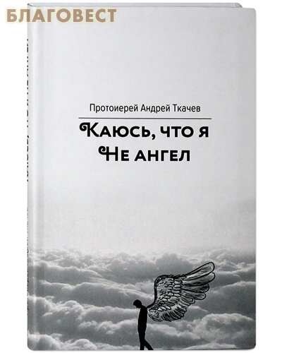 Каюсь, что я не ангел (протоиерей Андрей Ткачев) - фото №13