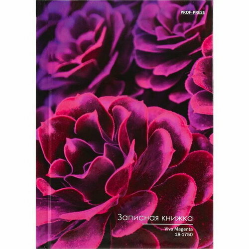 Записная книжка А6 48 листов в клетку VIVA MAGENTA, твёрдая обложка, глянцевая ламинация, блок офсет