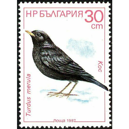 (1987-075) Марка Болгария Чёрный дрозд Птицы II Θ