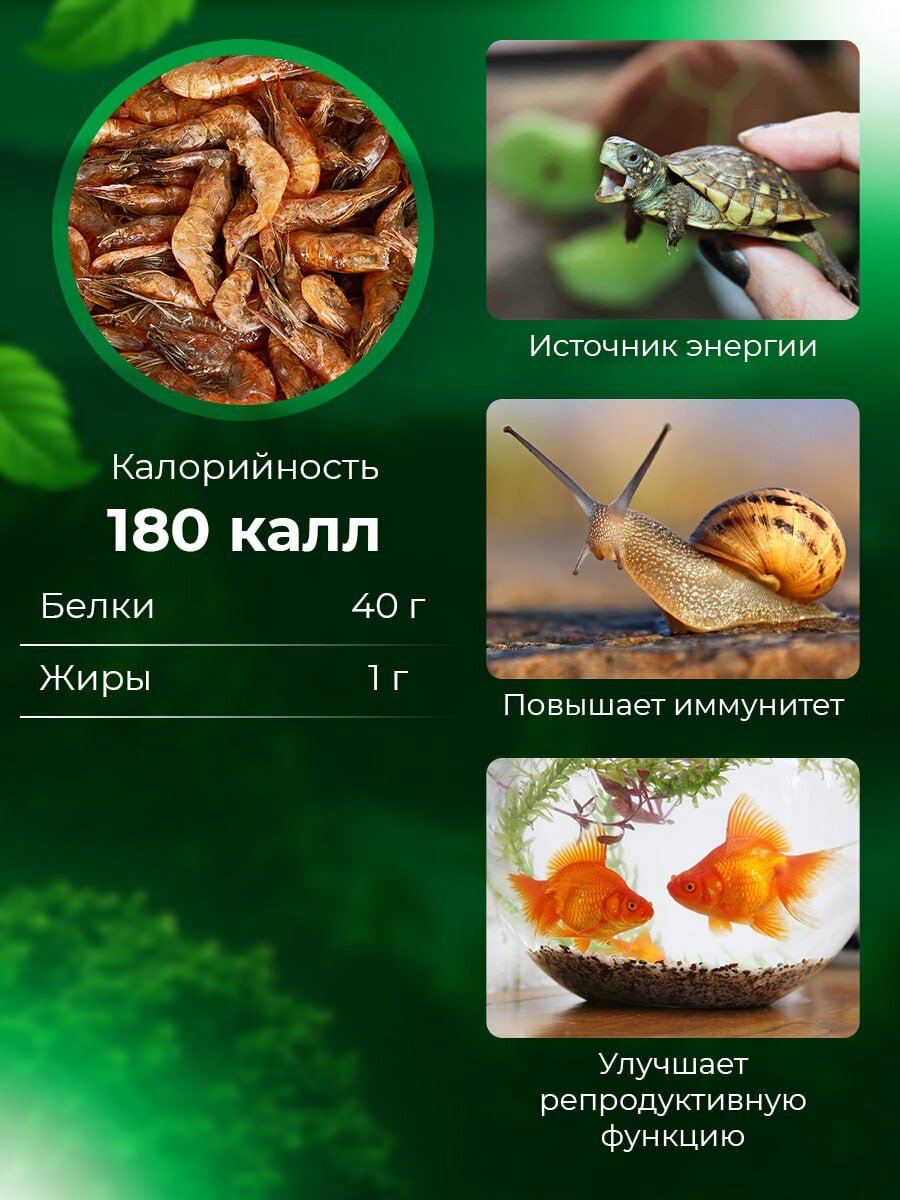 Лакомство BIG tiny "Креветки", для красноухой черепахи, 500мл — фото 1