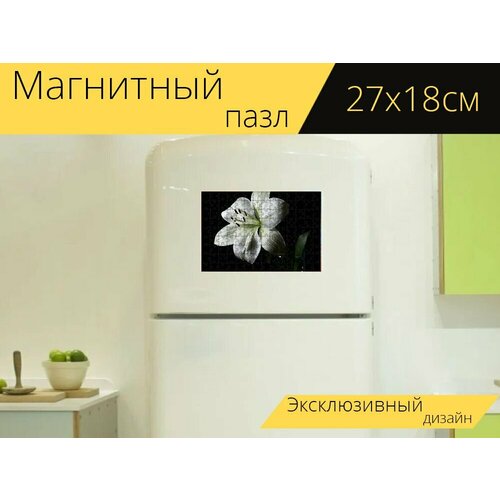 Магнитный пазл Лили, белая лилия, цветочный на холодильник 27 x 18 см. магнитный пазл лили водяная лилия виктория лили на холодильник 27 x 18 см