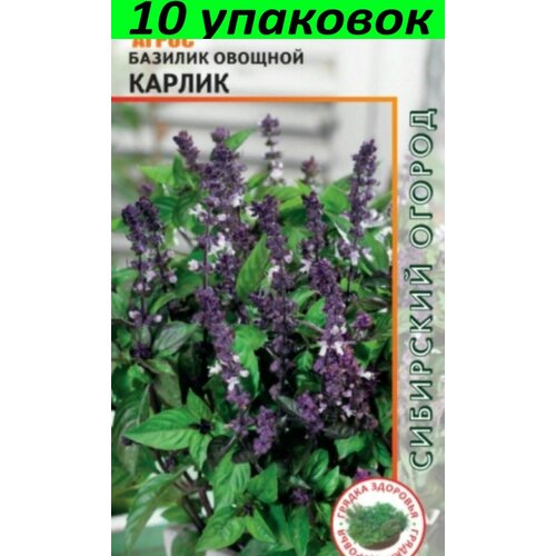 Семена Базилик Карлик 10уп по 0,5г (Агрос) базилик овощной карлик 0 5г агрос комплект 5 пачек